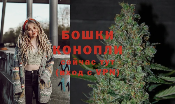 гашик Няндома
