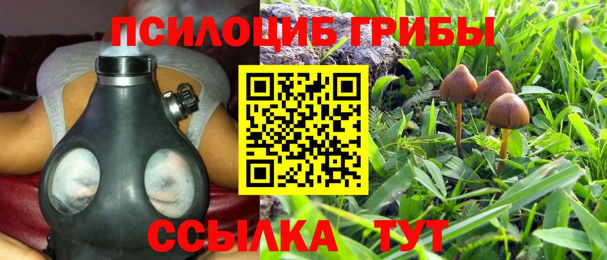 Псилоцибиновые грибы мухоморы  Галлюциногенные грибы мухоморы  Вход с VPN  Черкесск 