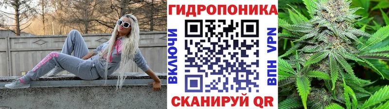 Бошки марихуана AK-47 Черкесск